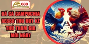 Đá Gà Campuchia