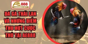 Đá Gà Thái Lan