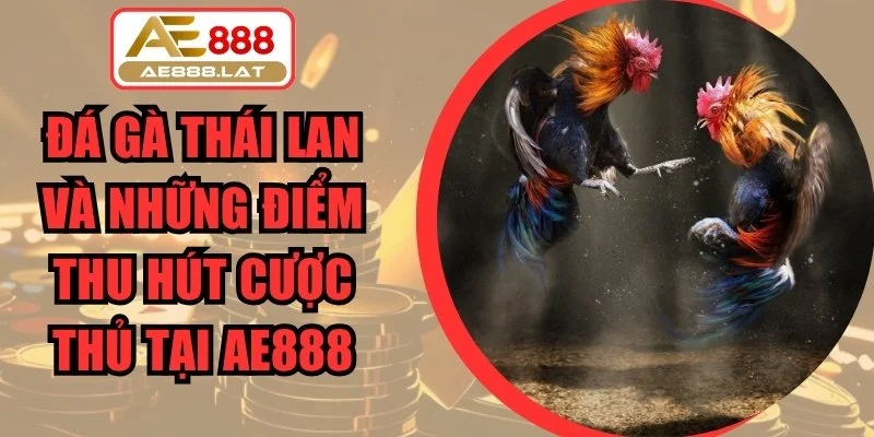 Đá Gà Thái Lan