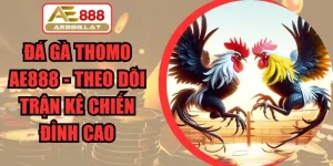 Đá Gà Thomo