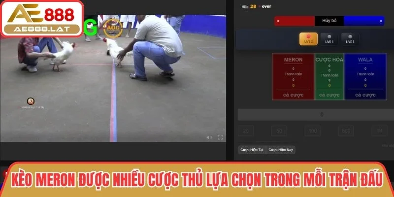 Kèo Meron được nhiều cược thủ lựa chọn trong mỗi trận đấu