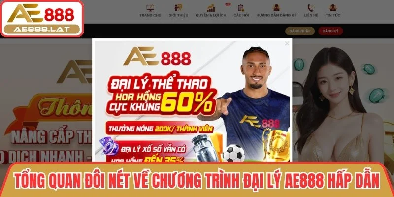 Đôi nét về chương trình đại lý AE888 hấp dẫn