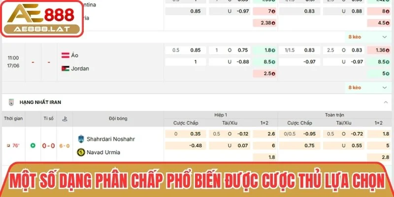 Một số dạng phân chấp phổ biến được cược thủ lựa chọn