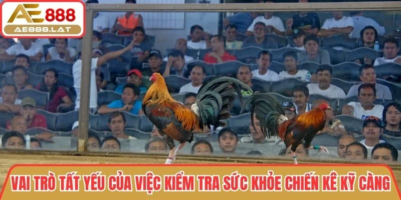 Vai trò tất yếu của việc kiểm tra sức khỏe chiến kê kỹ càng