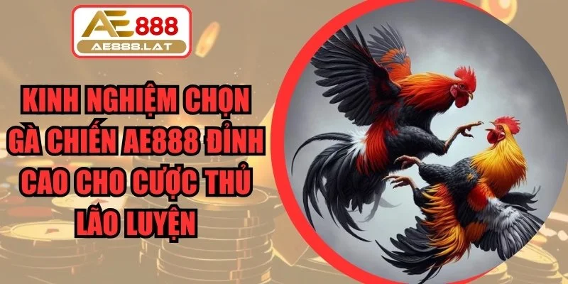 Kinh nghiệm chọn gà