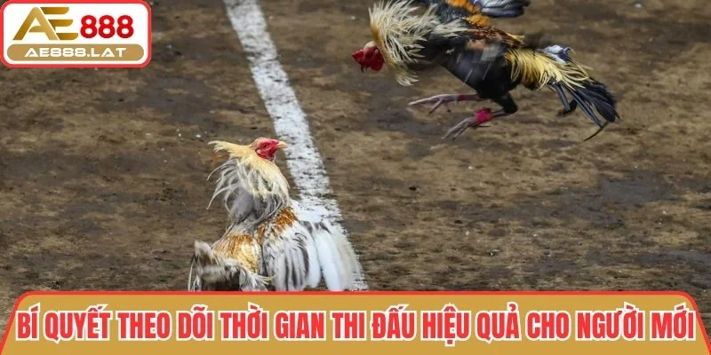 Bí quyết theo dõi thời gian thi đấu hiệu quả cho người mới